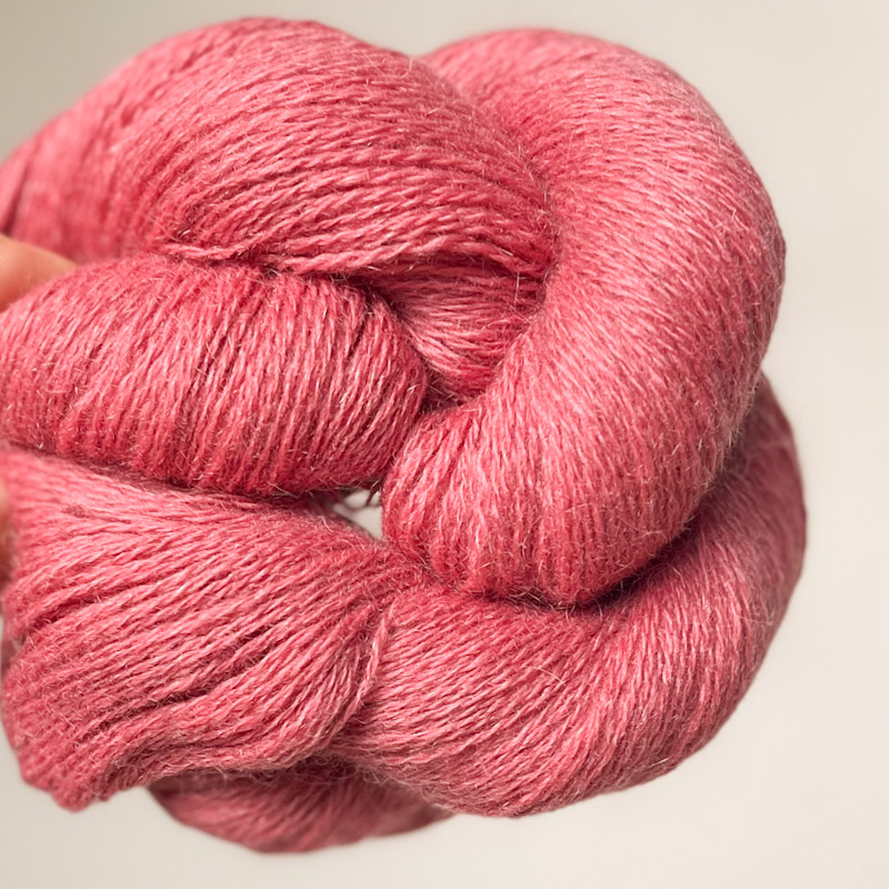 myak_Baby_yak_lace_flamingo